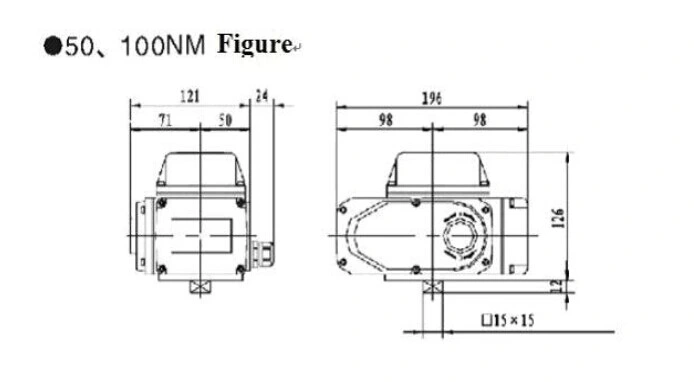 20nm Torque Electric Actuator